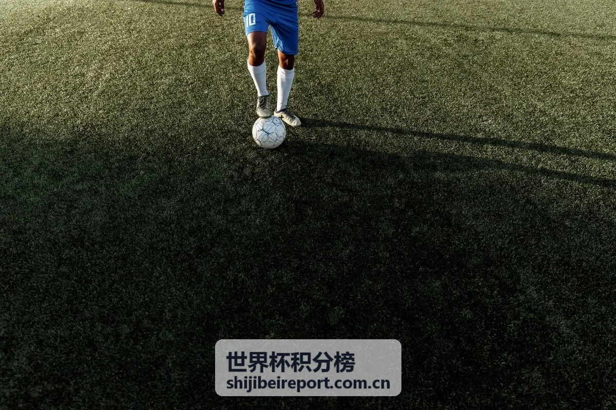 世界杯积分榜射手榜与球队统计